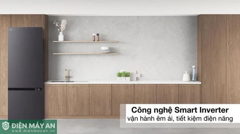 Tủ lạnh LG Inverter 335 lít LTB33BLMA